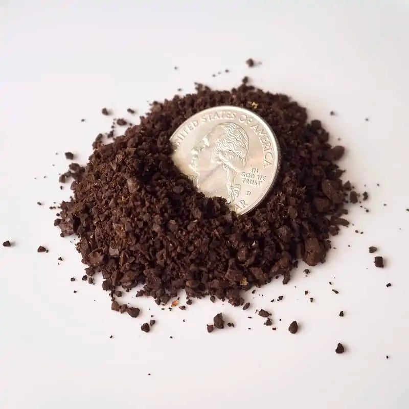 In Your Face Espresso
