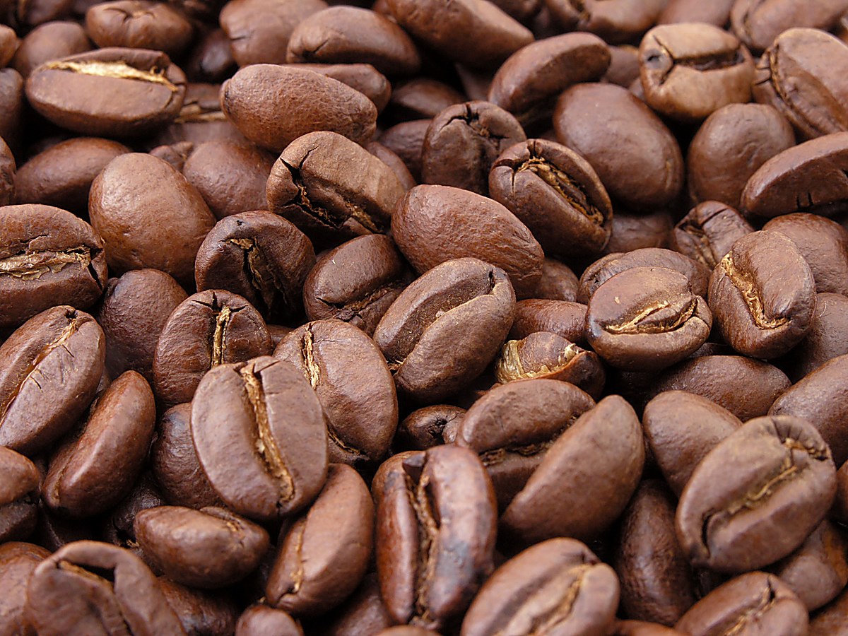 Rise and Grind Medium Roast